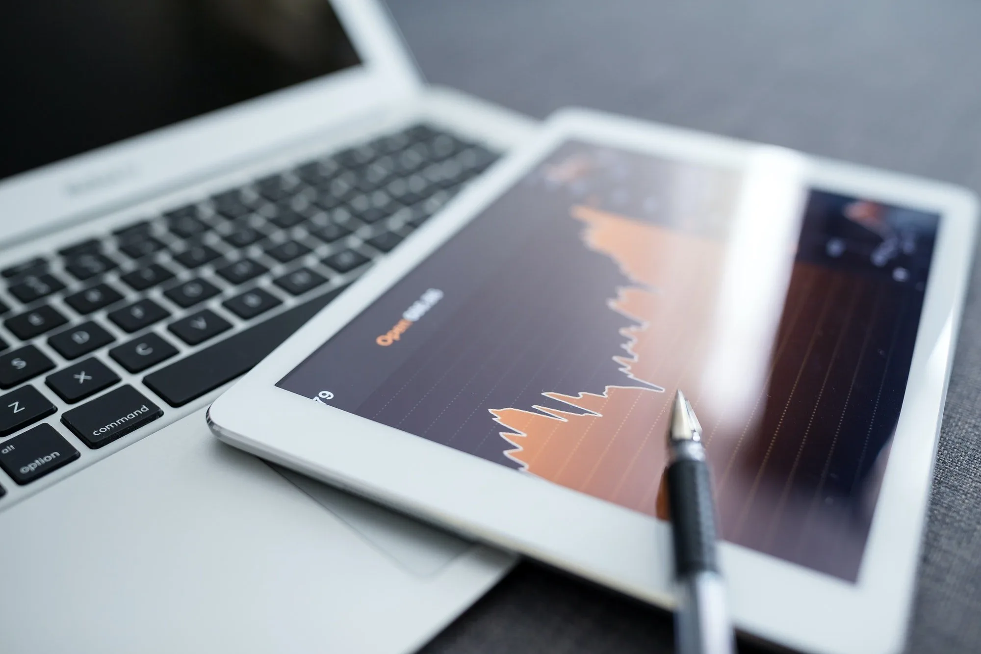 Building a Brand: Strategy, Differentiation, and User Focus - 乐鱼